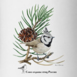 Хохлатая  синица