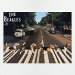 The Beagles (Бигли)