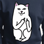 Кот показывающий фак