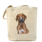 Холщовая сумка