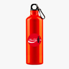 Металлическая бутылка 700 мл UV-DTF