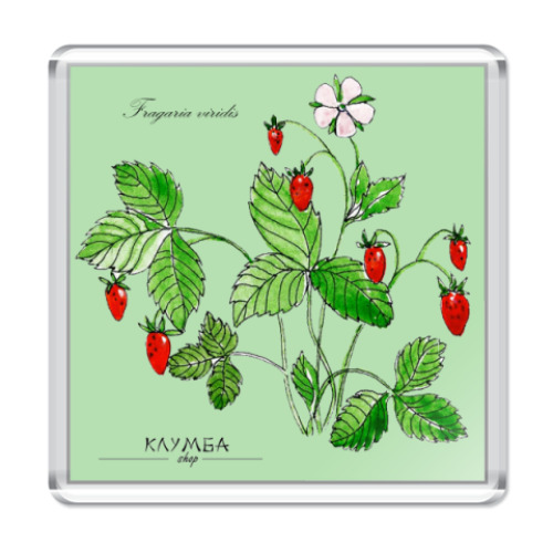 Магнит Клумба