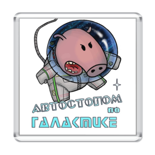 Магнит Космосвин