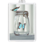 Бабочки в банке