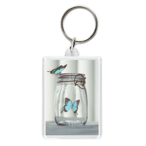Брелок Бабочки в банке