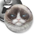 Grumpy Cat / Сердитый Кот
