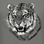 Тигр