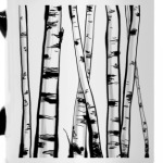 Березовая роща