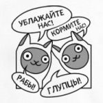 Котики