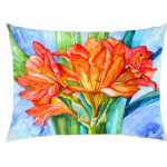 акварельная кливия