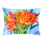 акварельная кливия