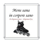 Пословица на латинском языке