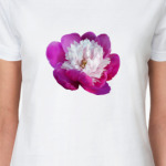 Нежный пион