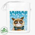  Кот и дождь