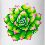 Неоновый суккулент