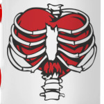  Ребра и сердце.