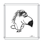 'Туканохаус'