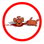 антийоркшир