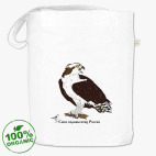 Скопа - птица 2018 года