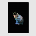 Котик космический