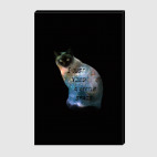 Котик космический