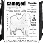 FAQ. Adult Samoyed