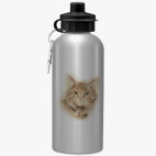 Спортивная бутылка