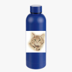 Термобутылка