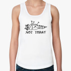 Ленивый енот