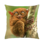 Подушка 35x35 см с цветной обратной стороной Долгопят