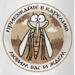Приезжайте в Карелию