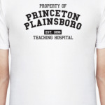Princeton Plainsboro
