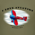 Travel Air Type R Mystery Ship airplane