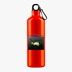 Металлическая бутылка 700 мл UV-DTF