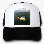 Кепки Trucker
