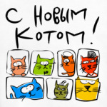 С новым котом
