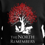 Игра престолов.Север помнит