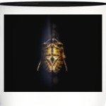 Зеркальная пчела