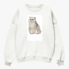 Свитшот оверсайз