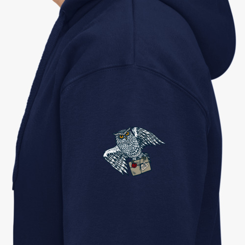 Толстовка худи с принтом "Совиная почта"