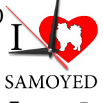 I love Samoyed