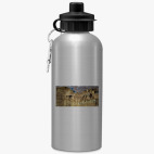 Спортивная бутылка