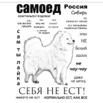 ЧАВО. Взрослый Самое