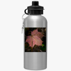 Спортивная бутылка