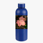 Термобутылка