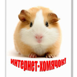 Интернет-хомячок