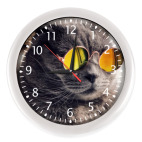 Кот-хитпстер