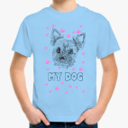 Love my little dog