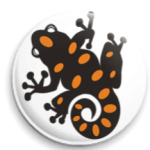 розцяцькована жаба