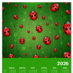 Божьи коровки